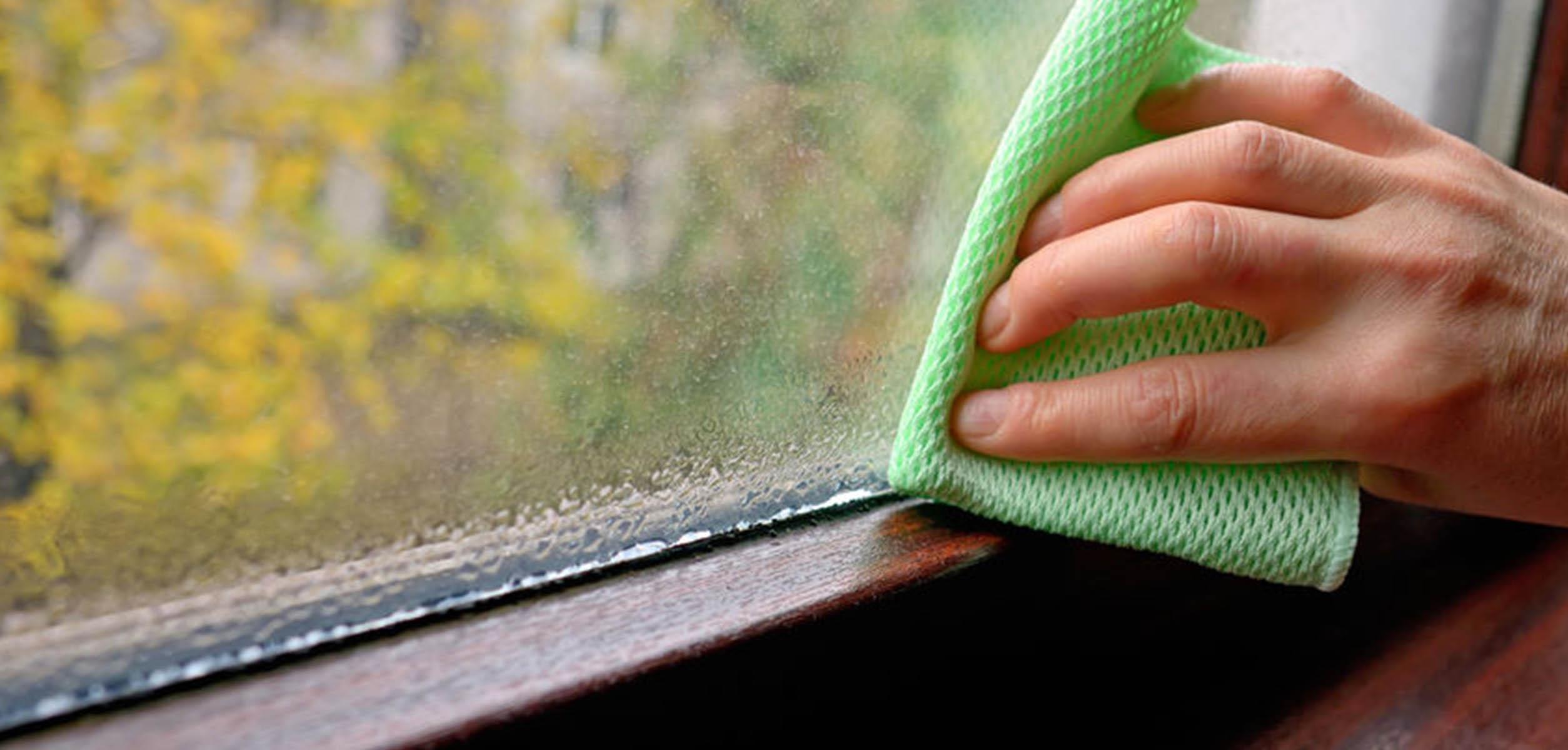 Condensation and Mould Growth Orwell Housing
