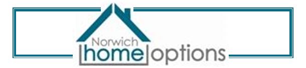 Image and link to the Norwich Home Options website