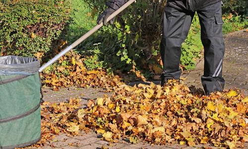 Estate Services Estate Services