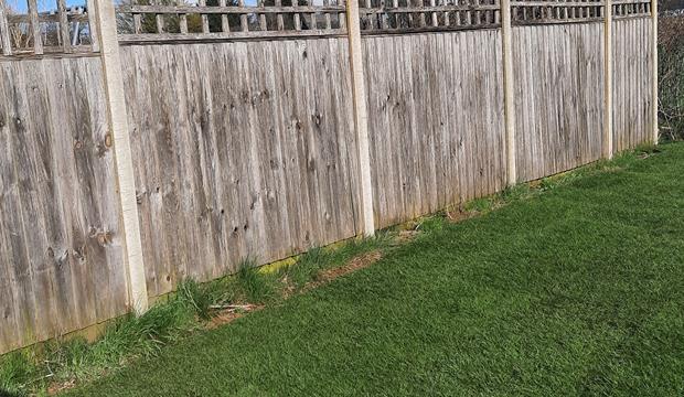Garden Garden
