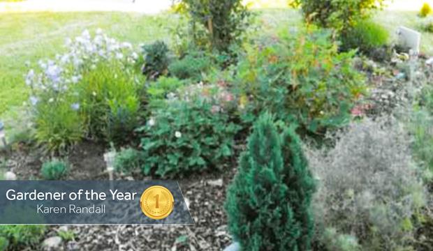 Gardener Of Year Karen Randall Gardener Of Year Karen Randall