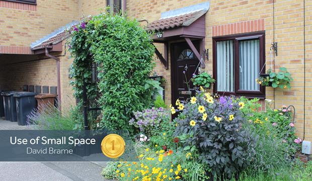 Small Space Brame 1St Small Space Brame 1St