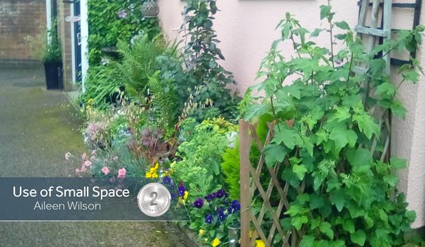 Small Space Wilson 2Nd Small Space Wilson 2Nd