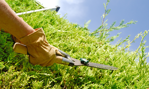 09 Estates Services 09 Estates Services