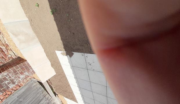 20220802 120303 001 20220802 120303 001