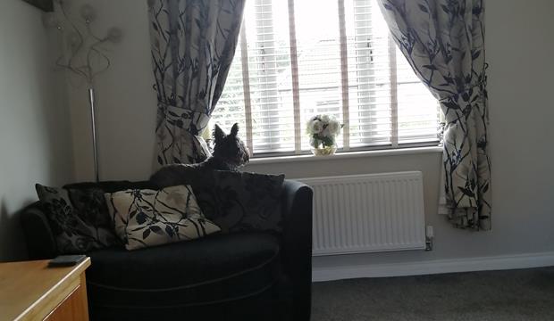 IMG 20230802 120220 IMG 20230802 120220