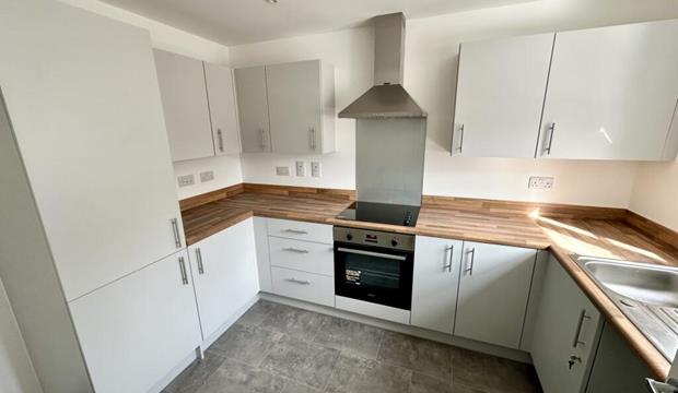 Image of clean kitchen with white cupboards Image of clean kitchen with white cupboards
