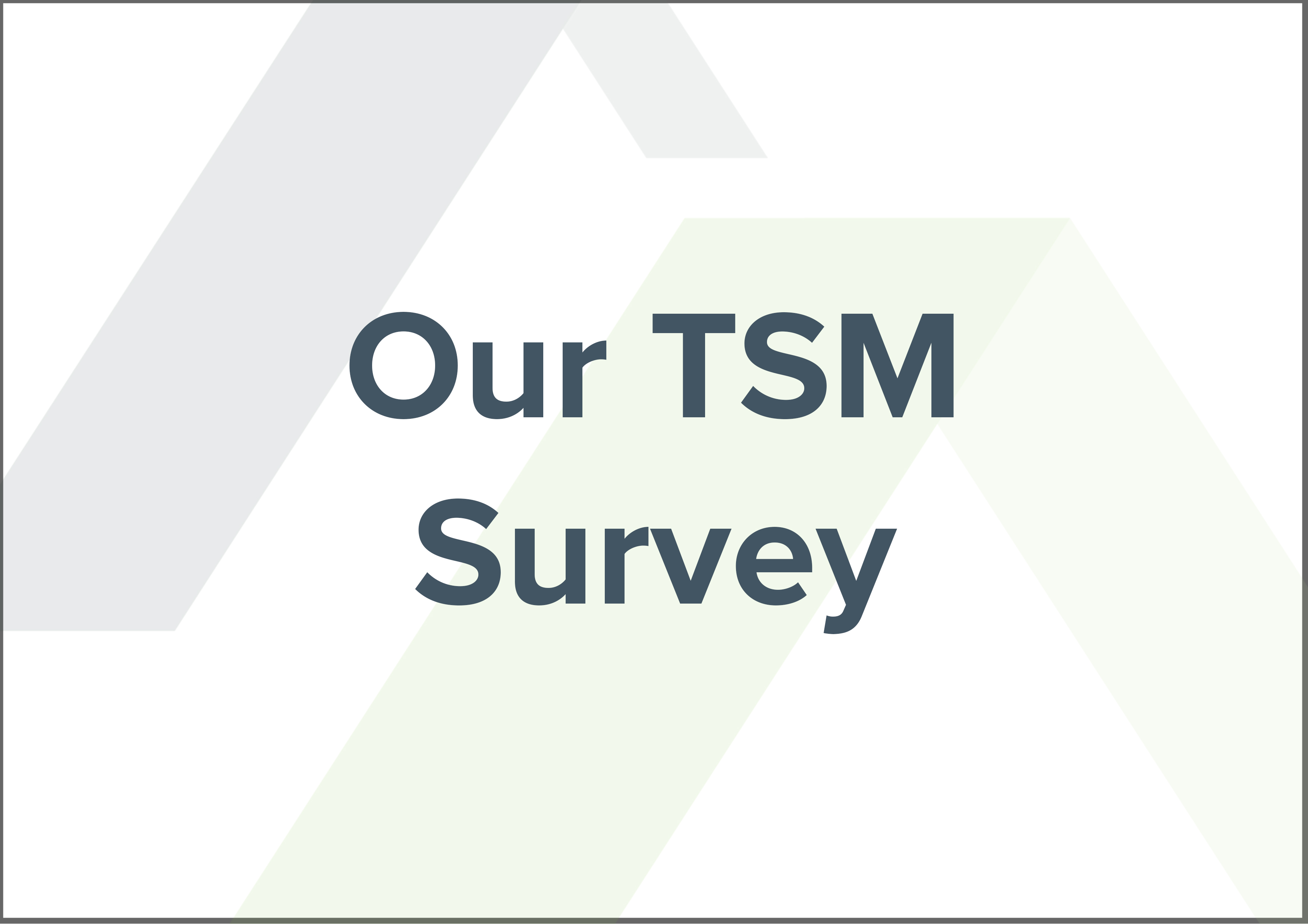 Our TSM Survey