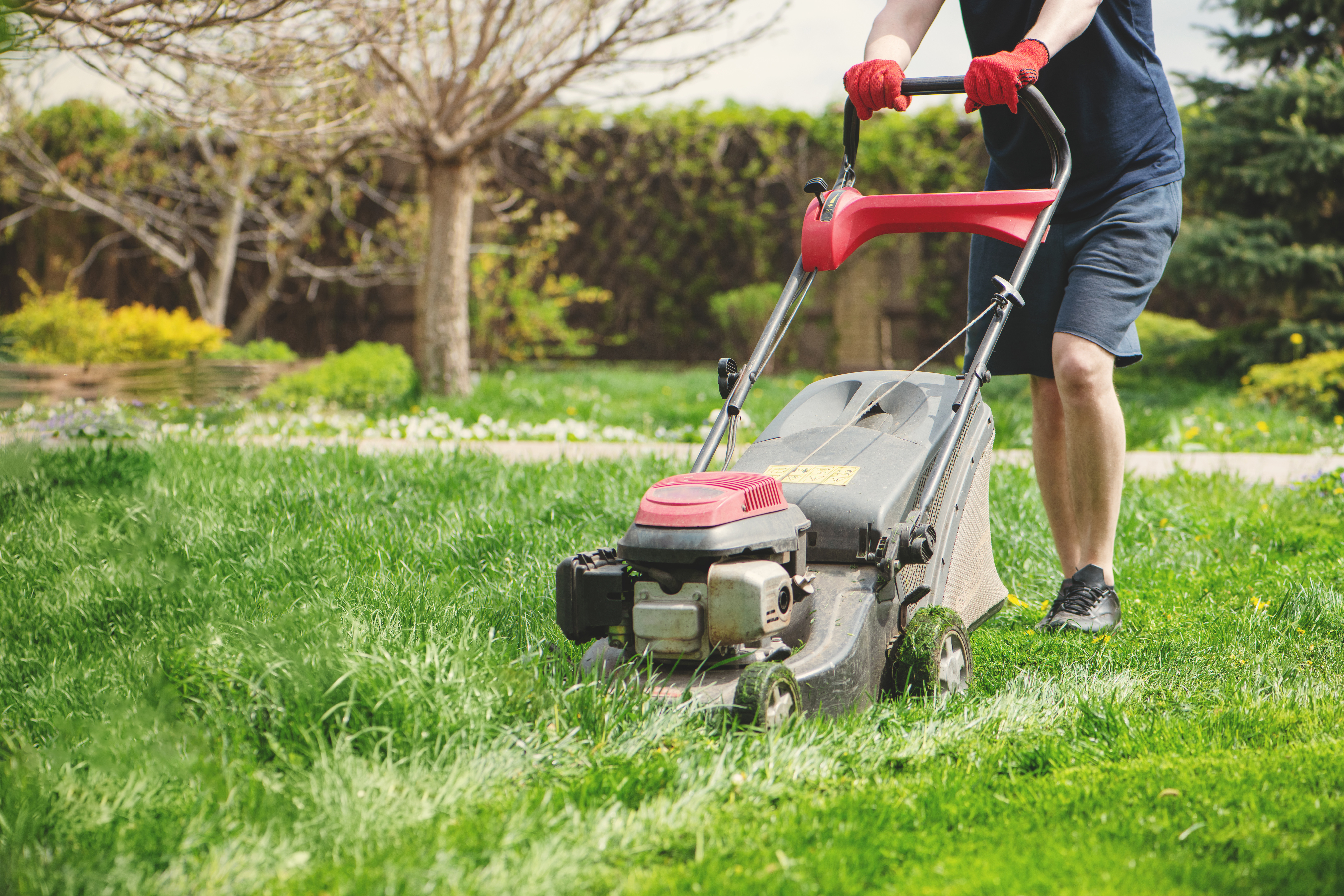 Male cutting grass with a lawnmower 