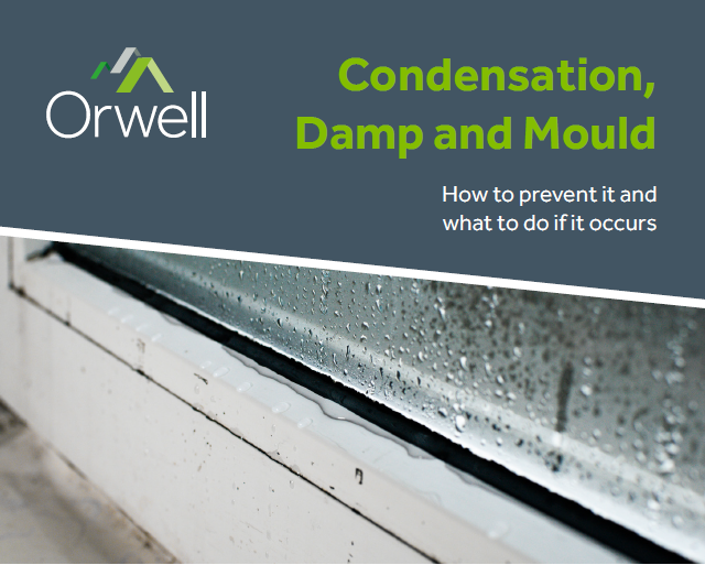 Damp And Mould Booklet Cover